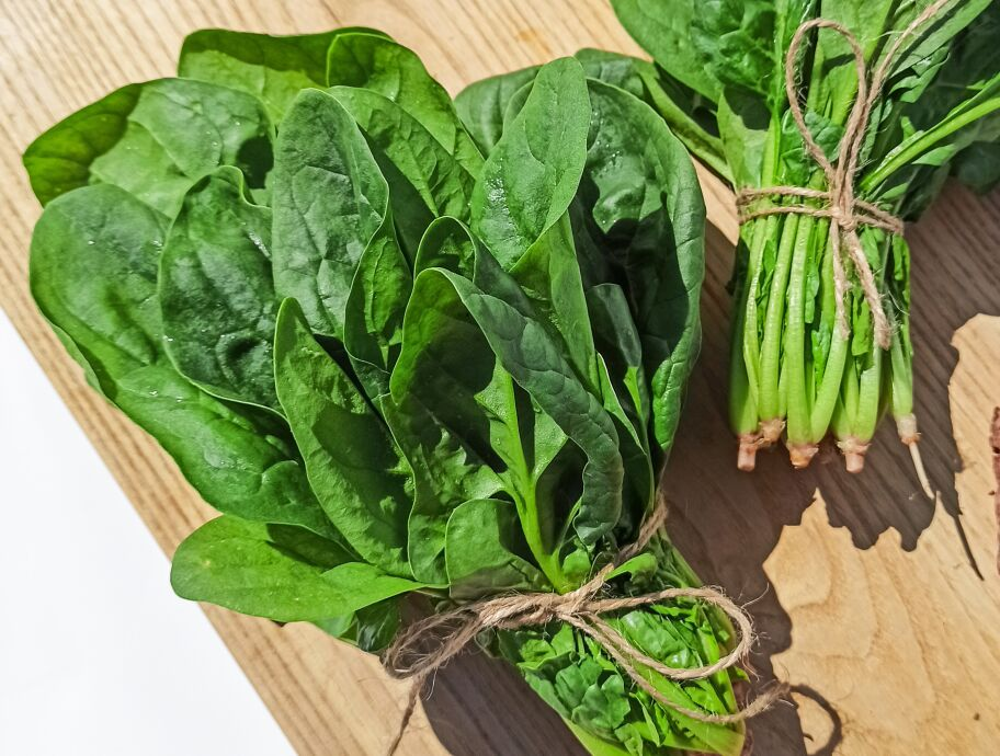 Espinaca, vegetal de hoja verde